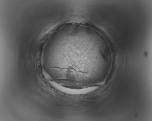 X0000116641399200912291545