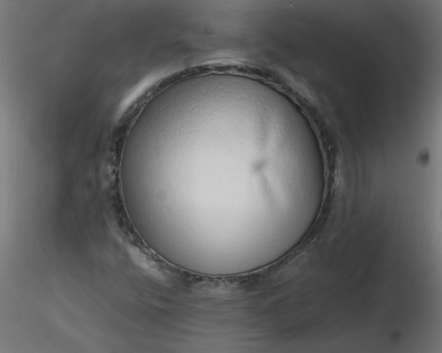 X0000116641400200912291545