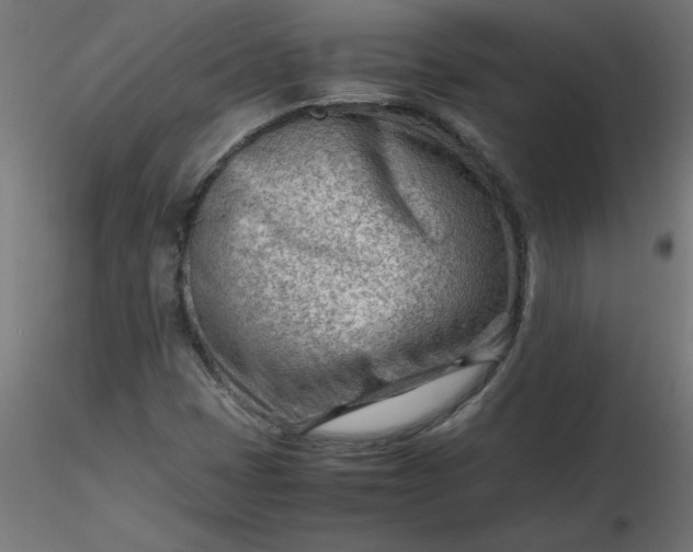 X0000116641401200912291545