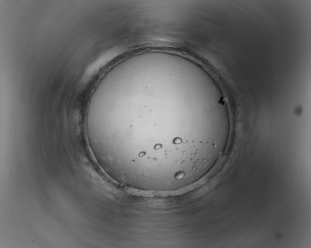 X0000116641402200912291545