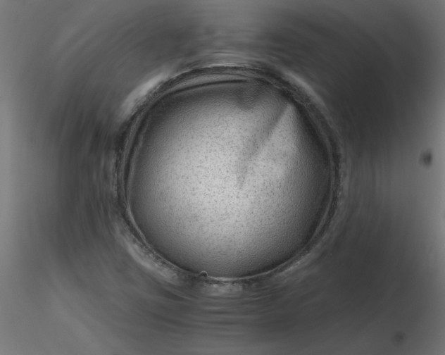 X0000116641403200912291545