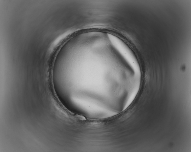 X0000116641406200912291545