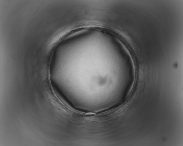 X0000116641407200912291545