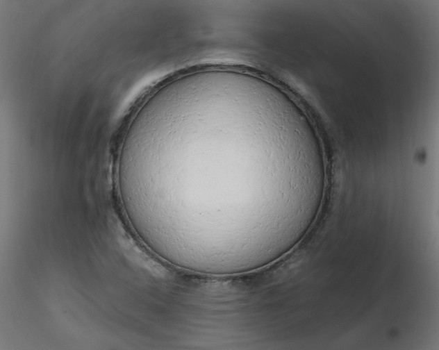 X0000116641408200912291545