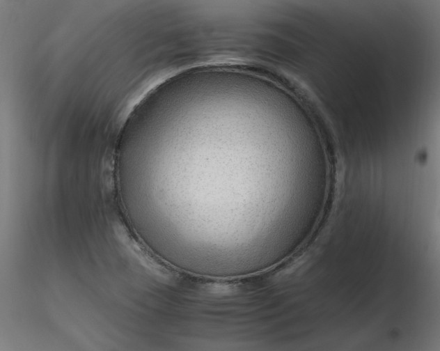 X0000116641409200912291546