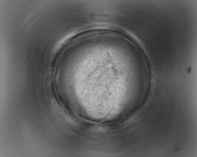 X0000116641411200912291546