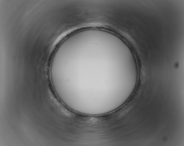 X0000116641412200912291546