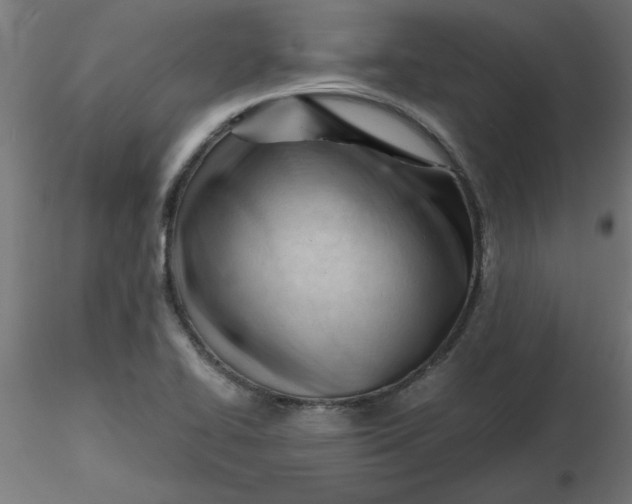 X0000116641414200912291546