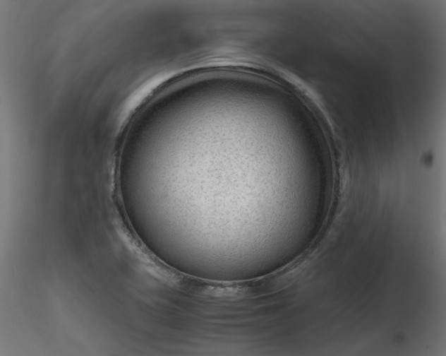 X0000116641415200912291546