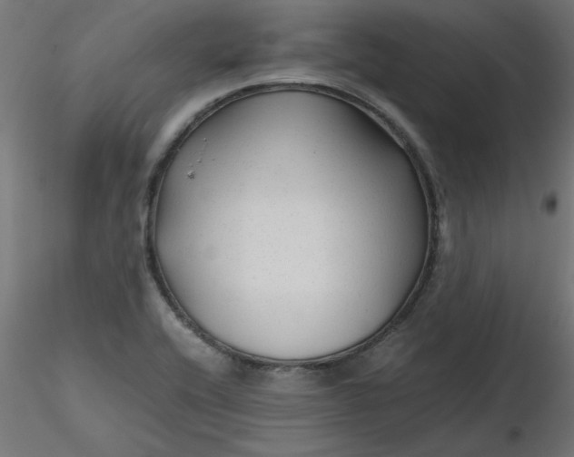 X0000116641416200912291546