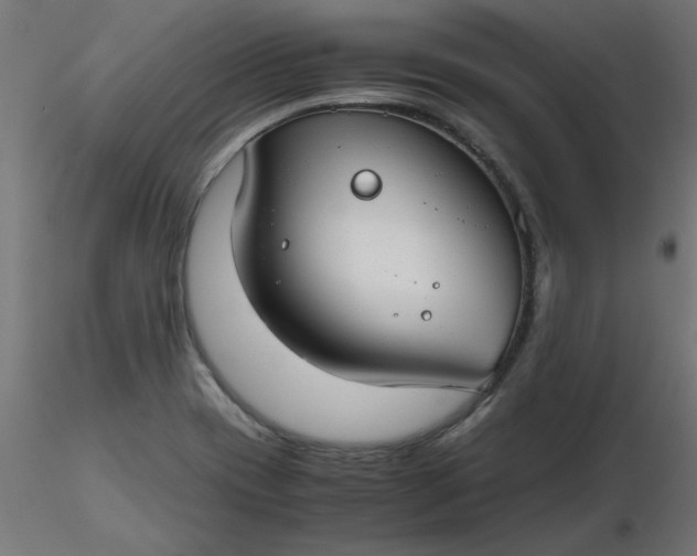 X0000116641417200912291546