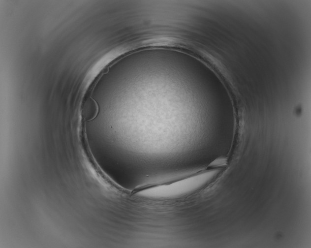 X0000116641418200912291546