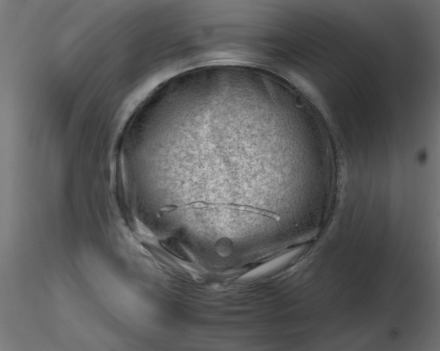 X0000116641419200912291546