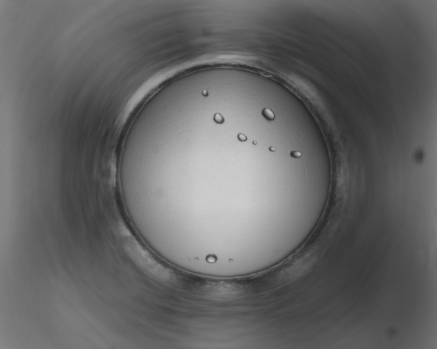 X0000116641420200912291546