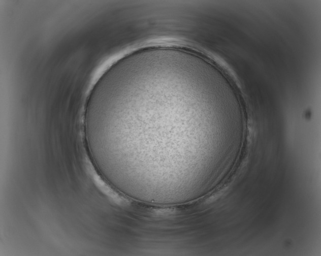 X0000116641421200912291546