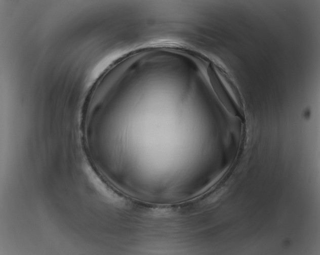 X0000116641422200912291546