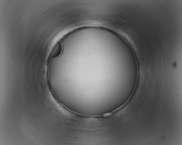 X0000116641424200912291546