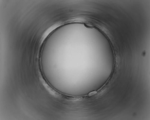 X0000116641426200912291546