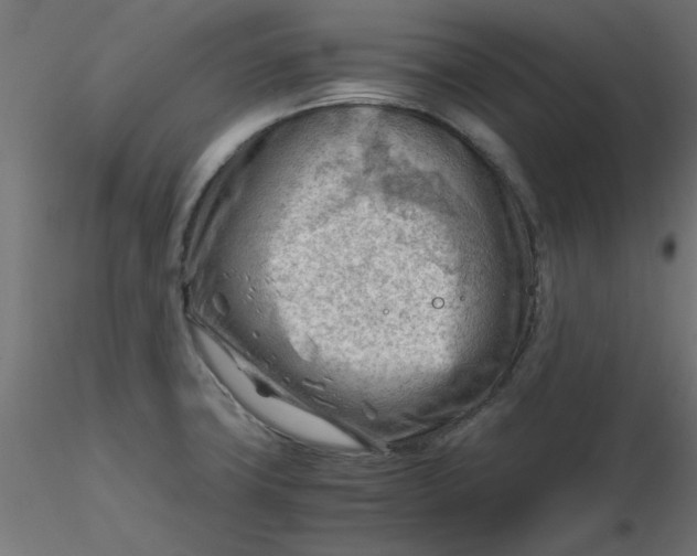 X0000116641427200912291546