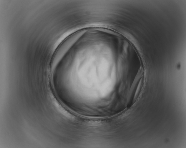 X0000116641428200912291546