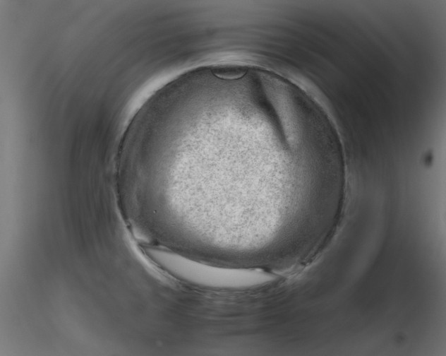 X0000116641429200912291546