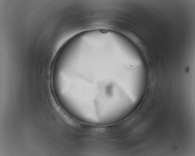 X0000116641431200912291546