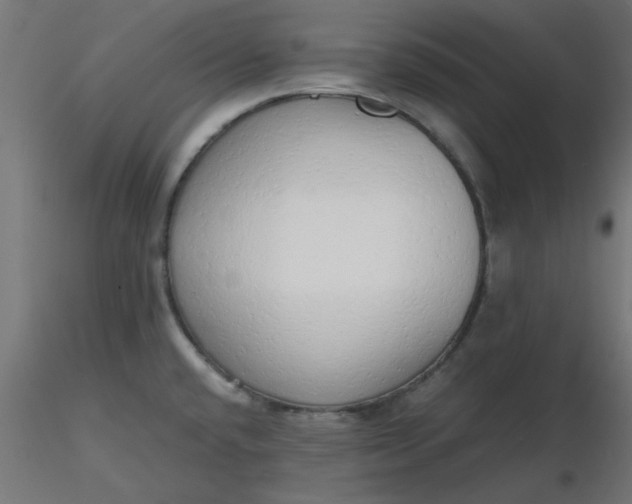 X0000116641432200912291546