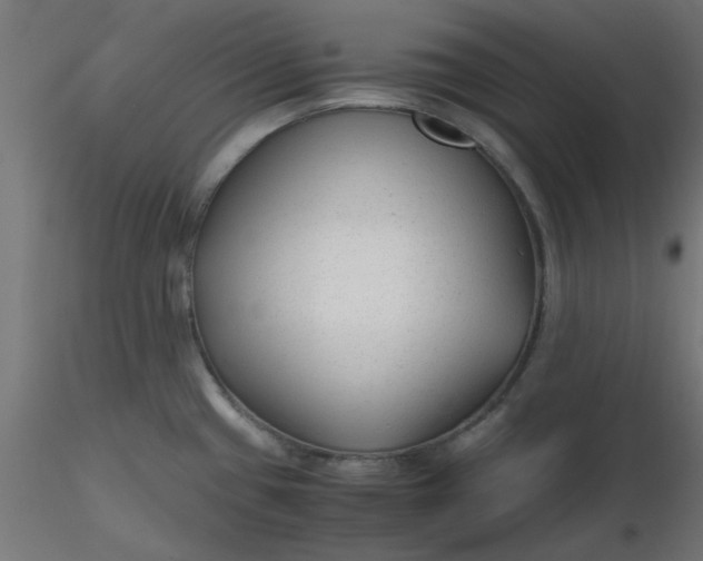 X0000116641433200912291546