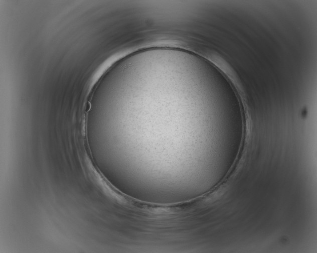 X0000116641436200912291546