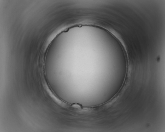 X0000116641437200912291546