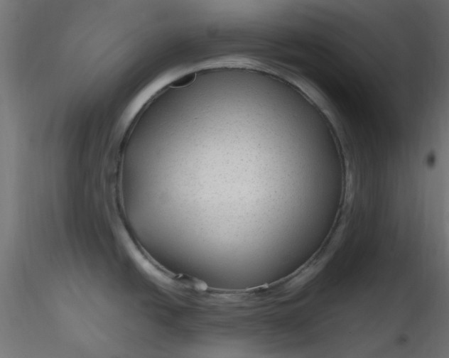 X0000116641438200912291546