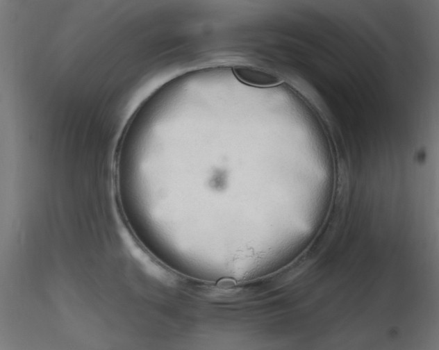 X0000116641439200912291546