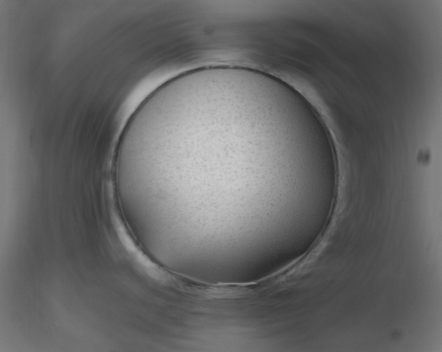 X0000116641440200912291546