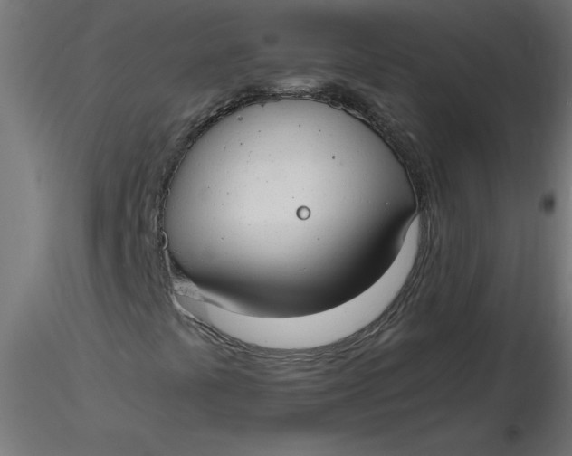 X0000116641441200912291545