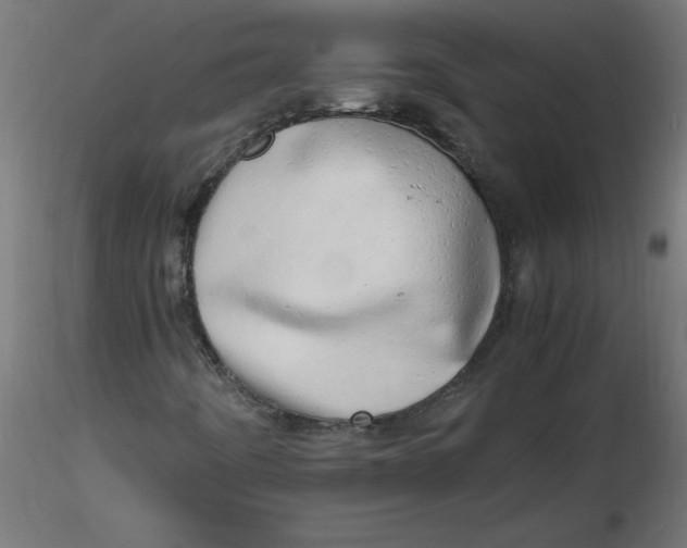 X0000116641442200912291545