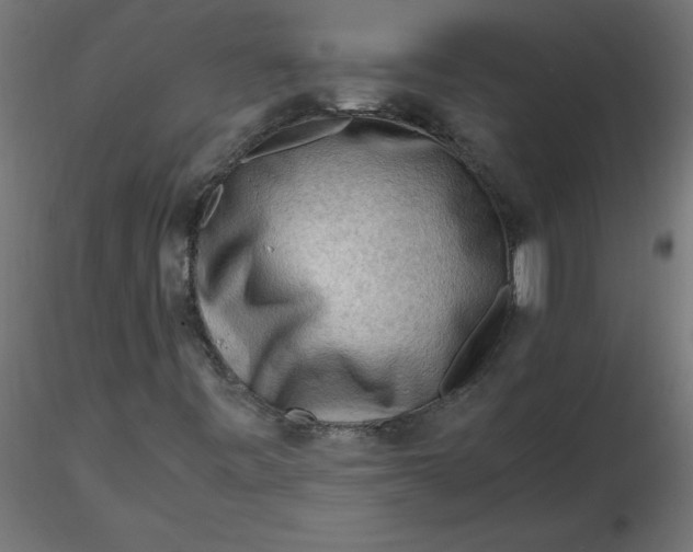 X0000116641443200912291545