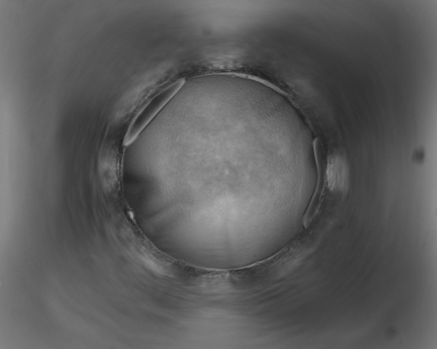 X0000116641444200912291545