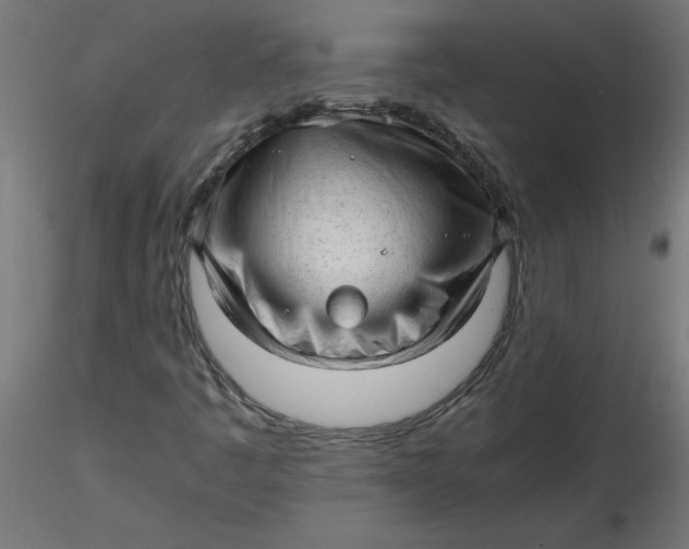 X0000116641445200912291545