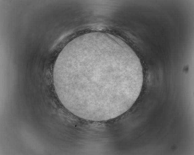 X0000116641446200912291545