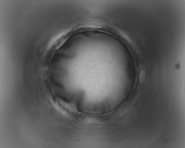 X0000116641448200912291545