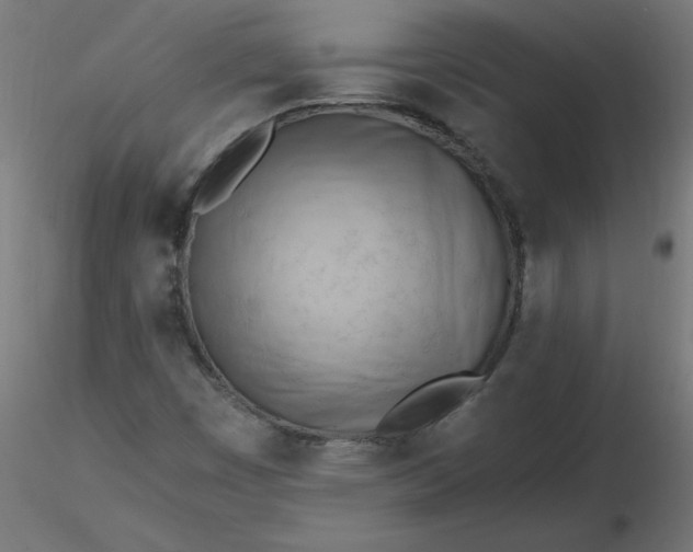 X0000116641449200912291545