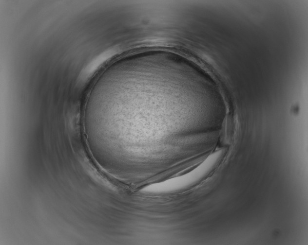 X0000116641450200912291545