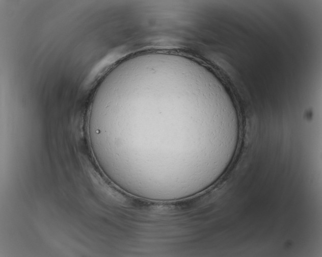 X0000116641451200912291545