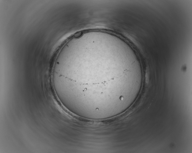 X0000116641452200912291545