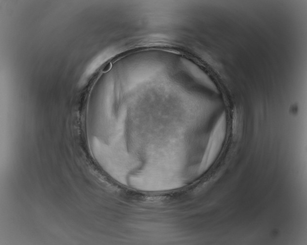 X0000116641453200912291545