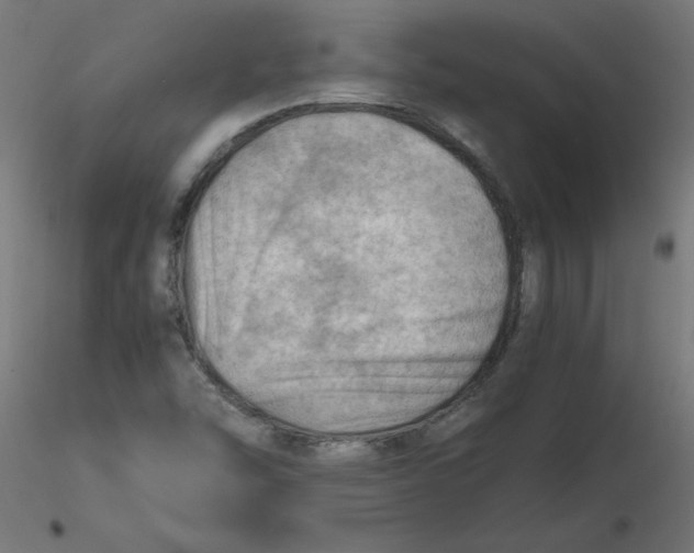 X0000116641454200912291545