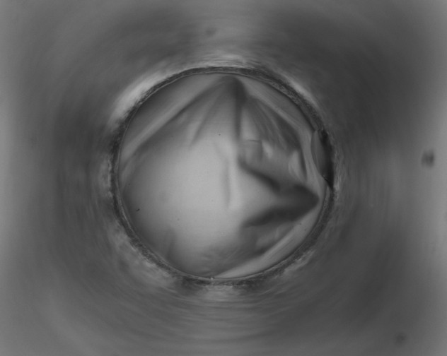 X0000116641455200912291545