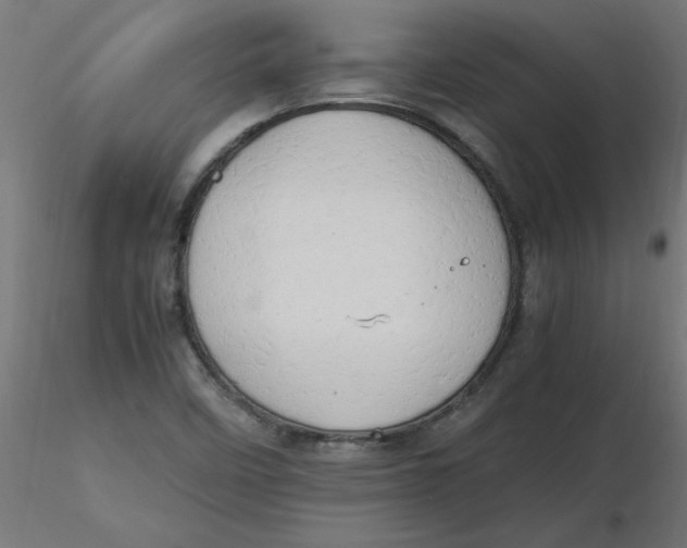 X0000116641458200912291545