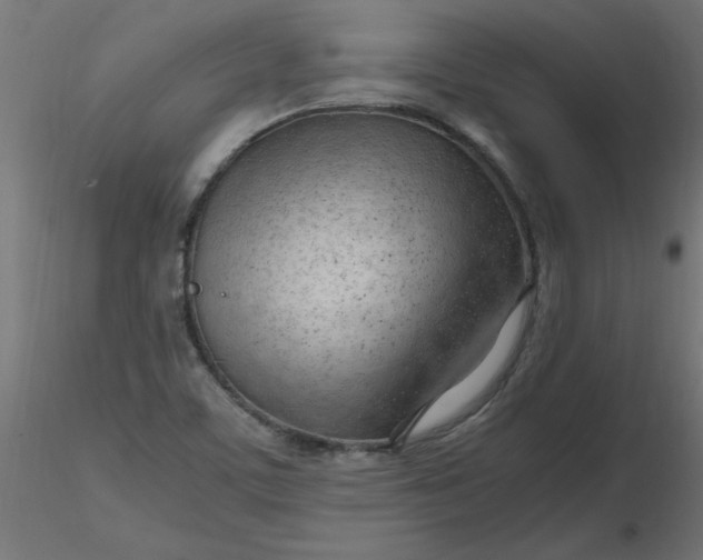 X0000116641459200912291545