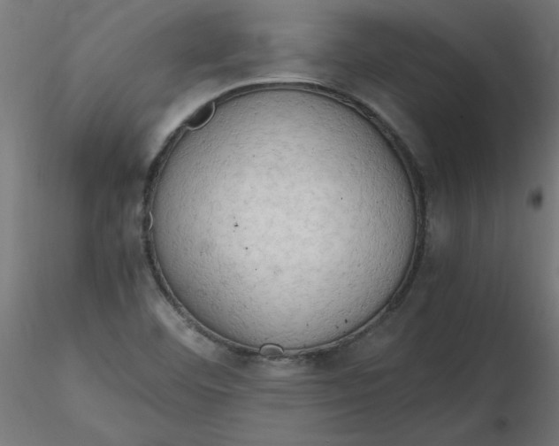 X0000116641460200912291545